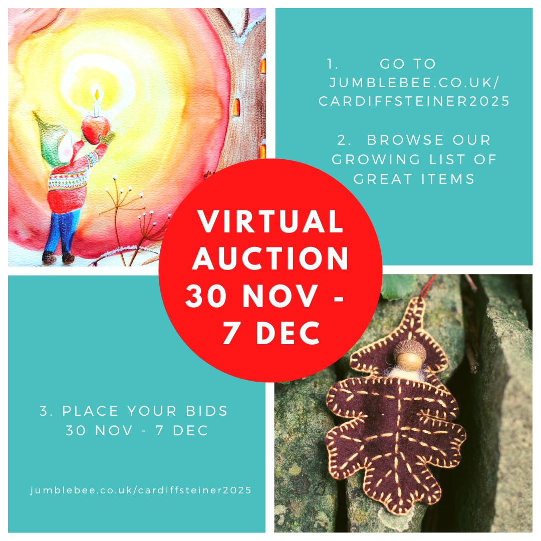 Virtual Auction Live 2025
